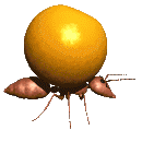 fig2